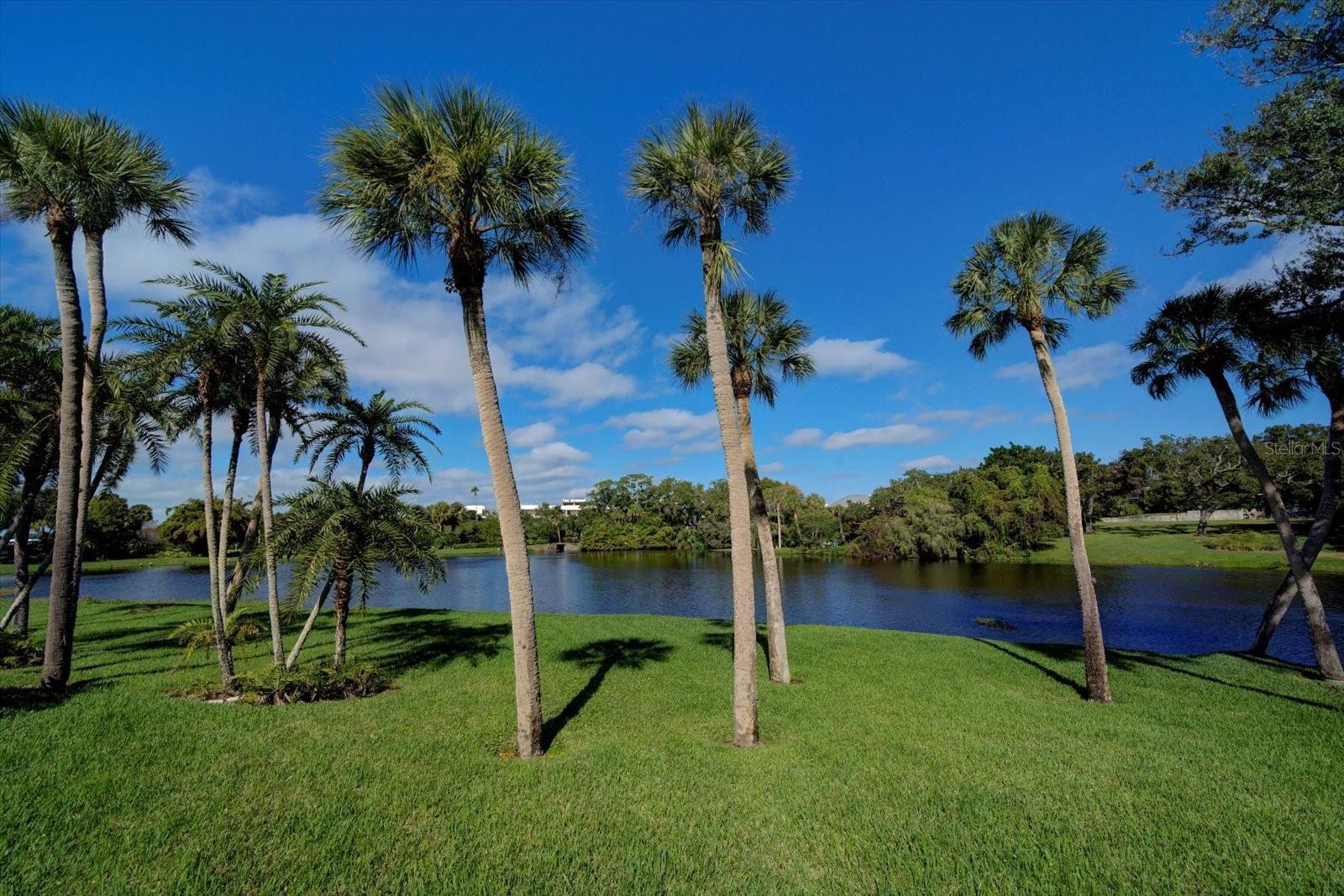 220 BELLEVIEW BLVD #410, BELLEAIR, FL, 33756
