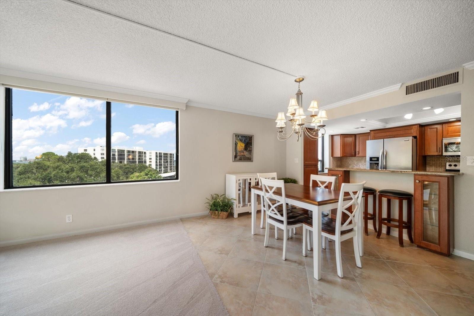 220 BELLEVIEW BLVD #410, BELLEAIR, FL, 33756