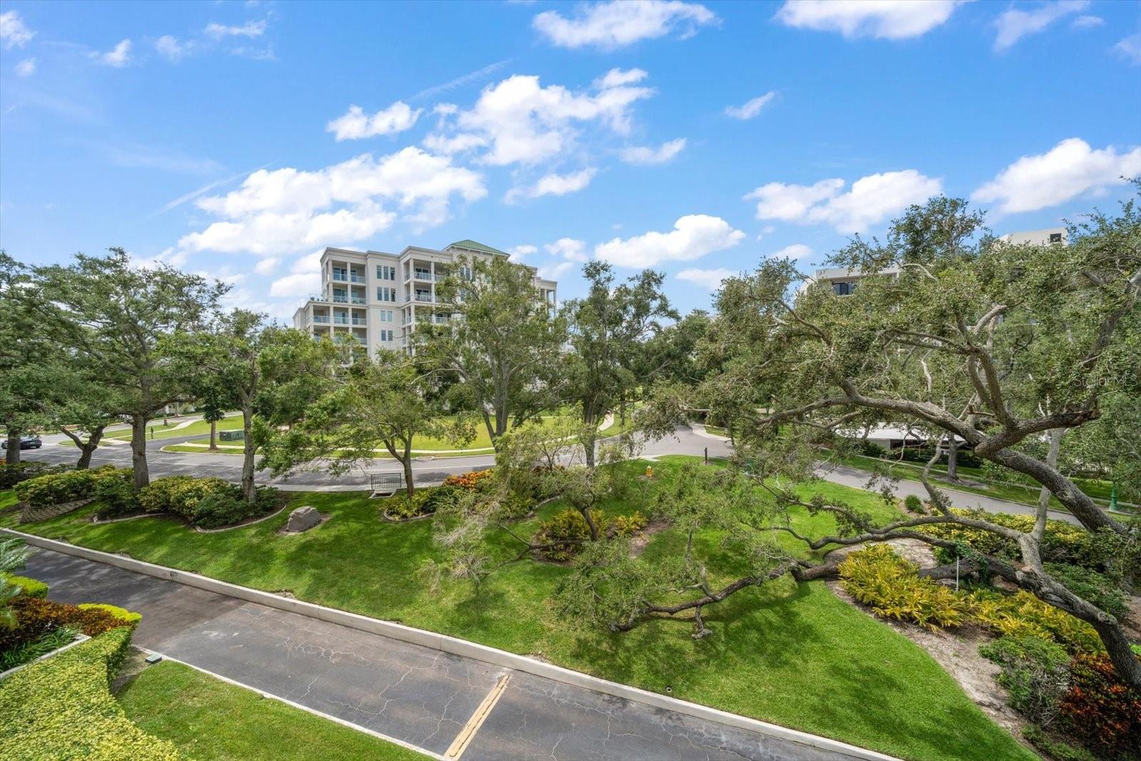 220 BELLEVIEW BLVD #410, BELLEAIR, FL, 33756