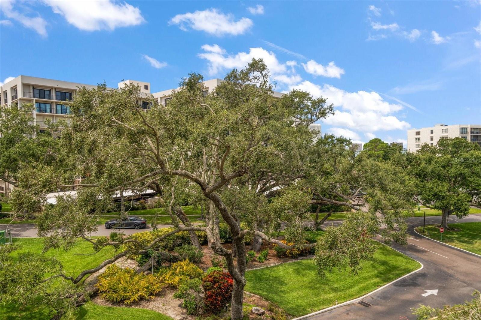 220 BELLEVIEW BLVD #410, BELLEAIR, FL, 33756
