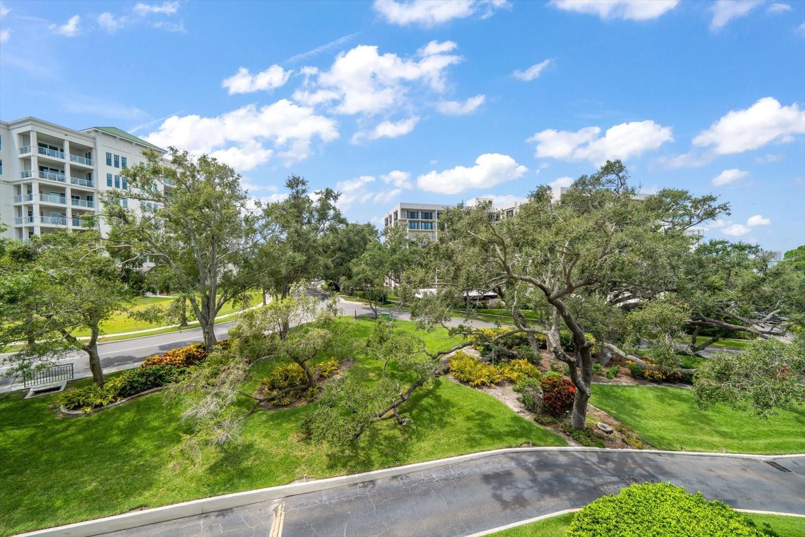 220 BELLEVIEW BLVD #410, BELLEAIR, FL, 33756