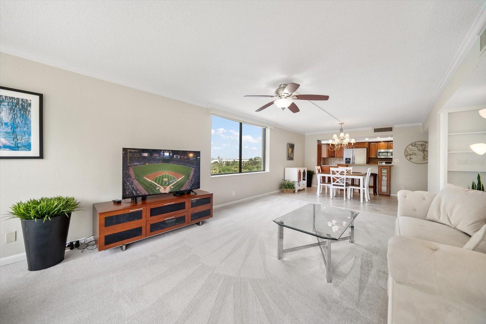 220 BELLEVIEW BLVD #410, BELLEAIR, FL, 33756