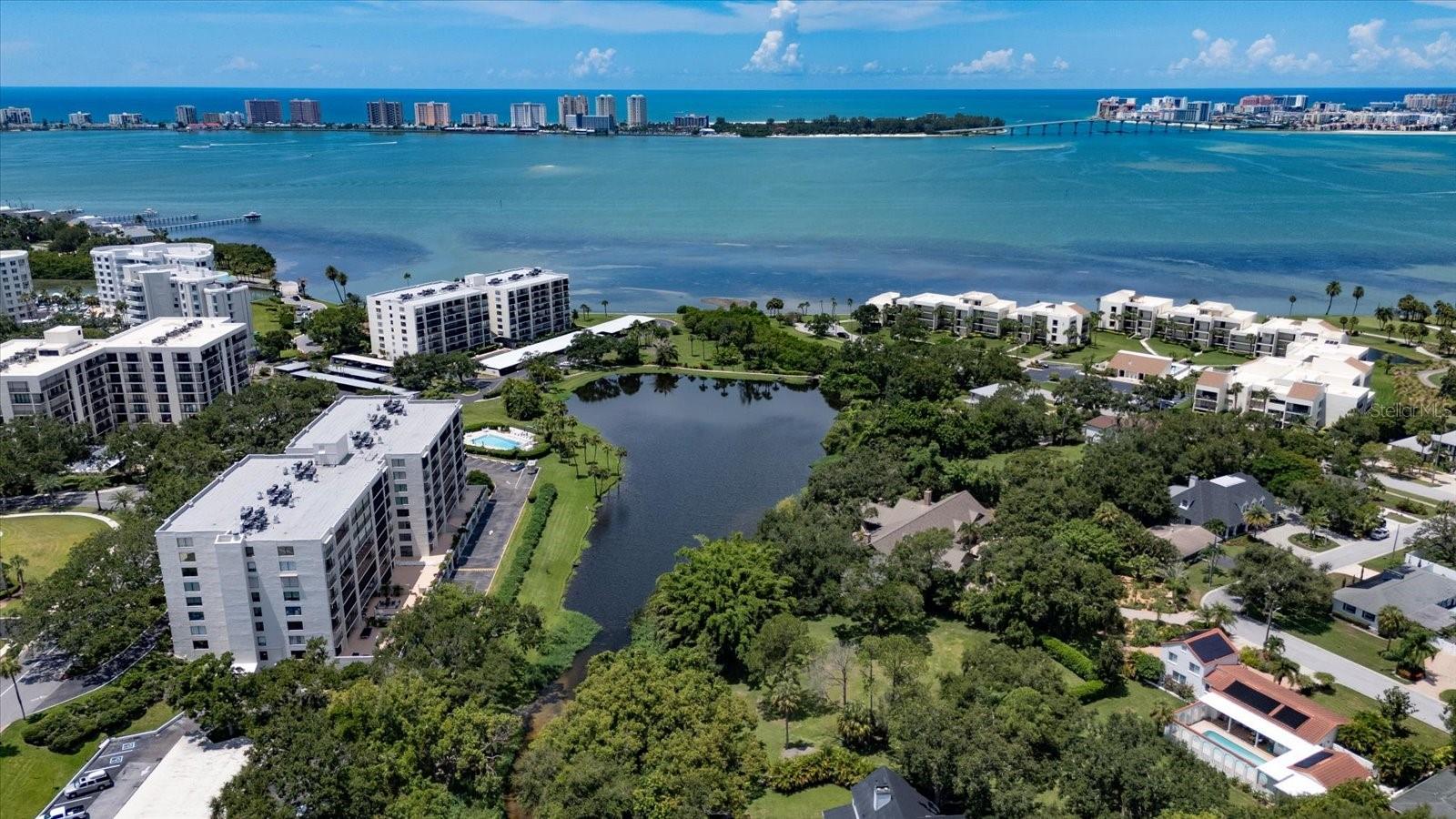 220 BELLEVIEW BLVD #410, BELLEAIR, FL, 33756