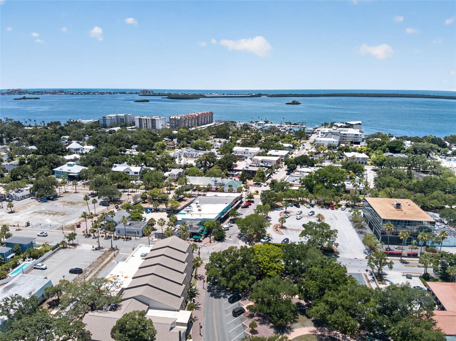 418 BIRDSONG LN, DUNEDIN, FL, 34698