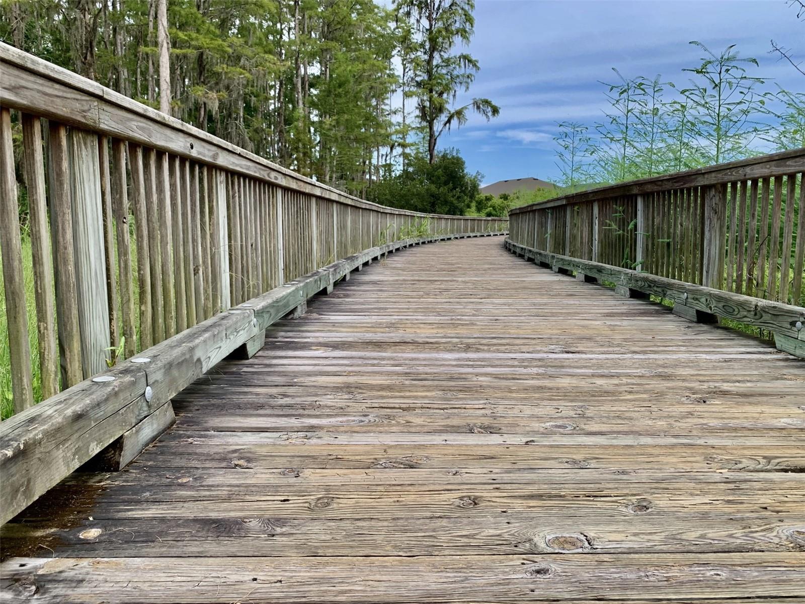 14501 PROMENADE PKWY, ODESSA, FL, 33556