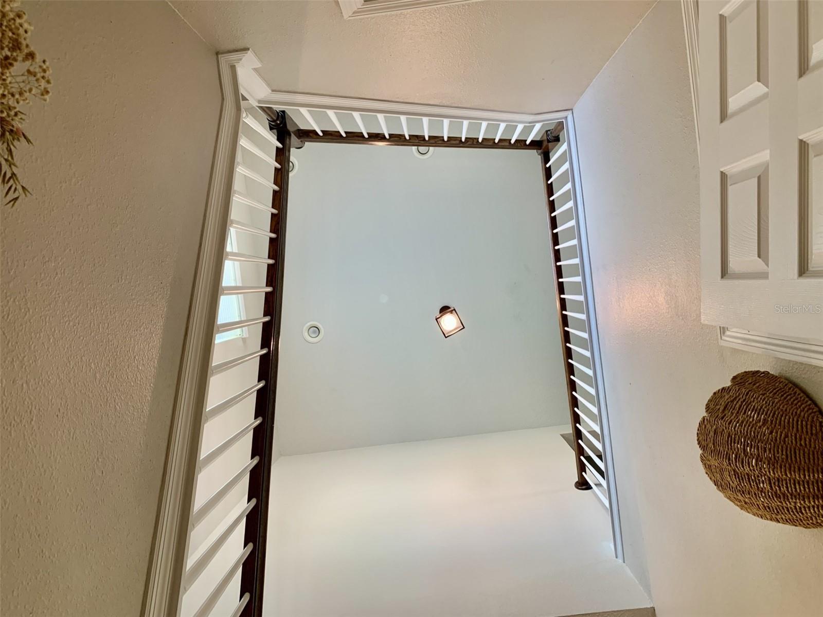 14501 PROMENADE PKWY, ODESSA, FL, 33556