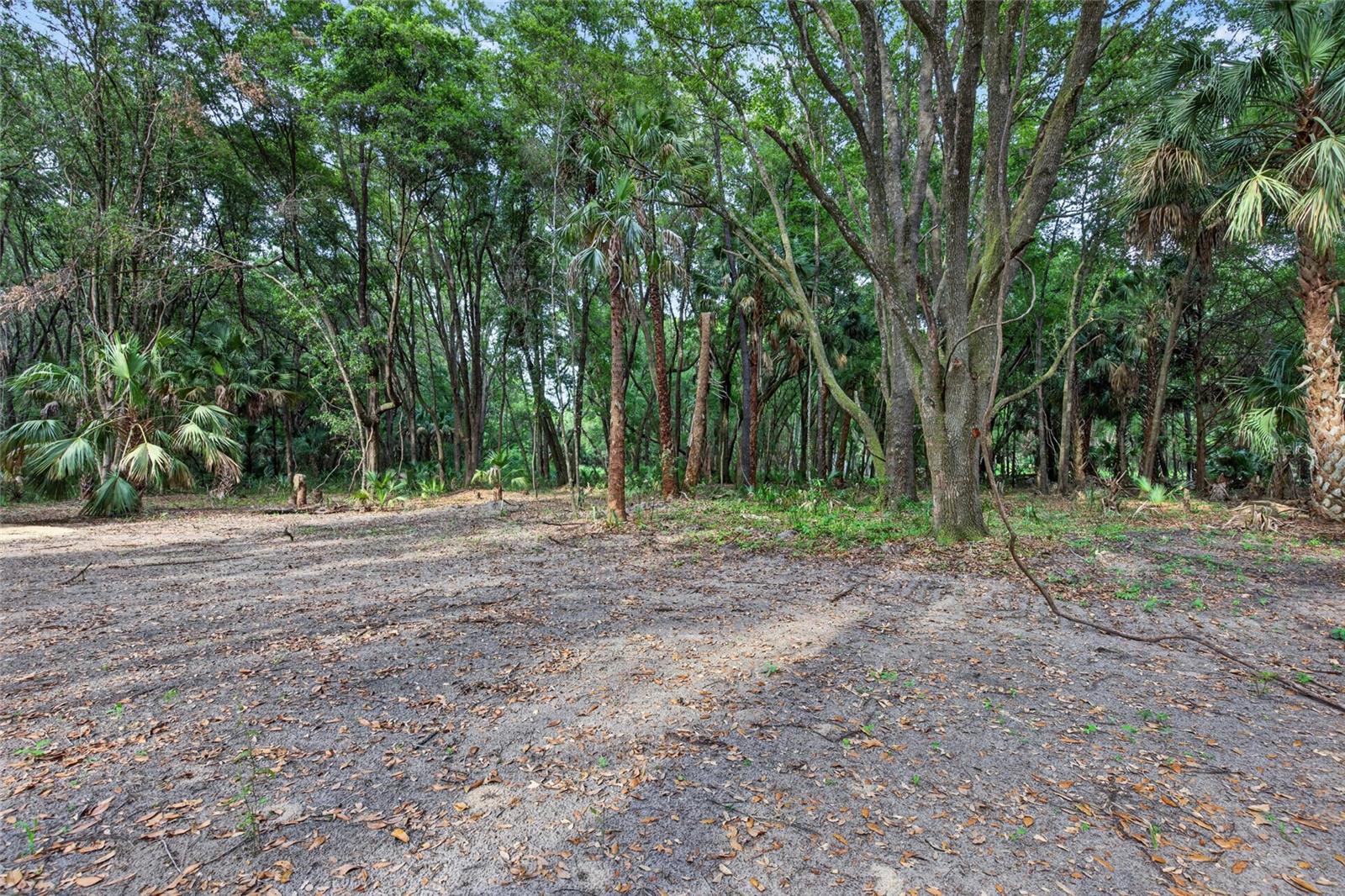 0 N US HWY 301, CITRA, FL, 32113