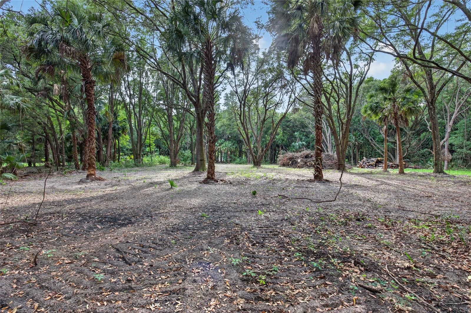 0 N US HWY 301, CITRA, FL, 32113