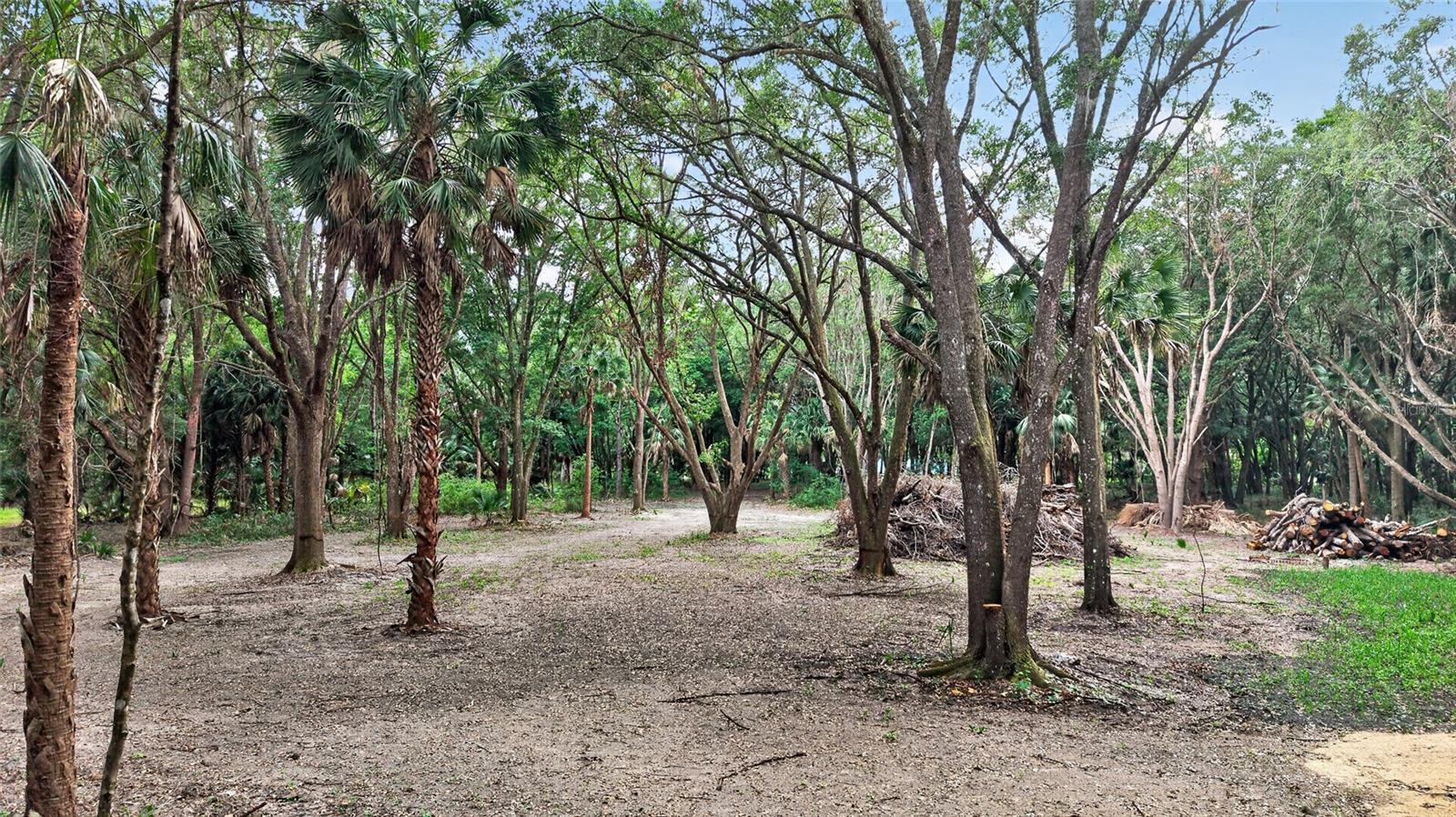 0 N US HWY 301, CITRA, FL, 32113