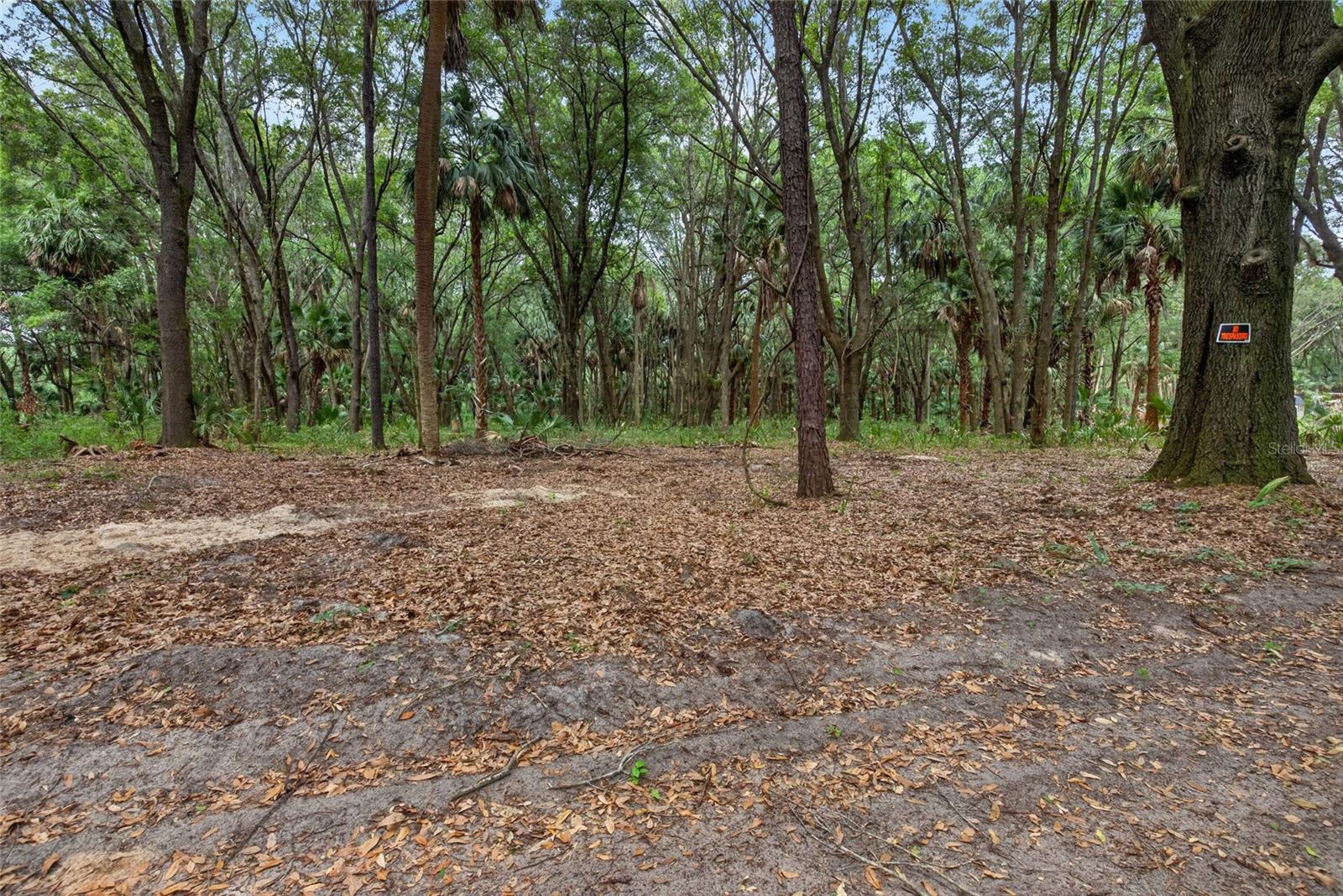 0 N US HWY 301, CITRA, FL, 32113