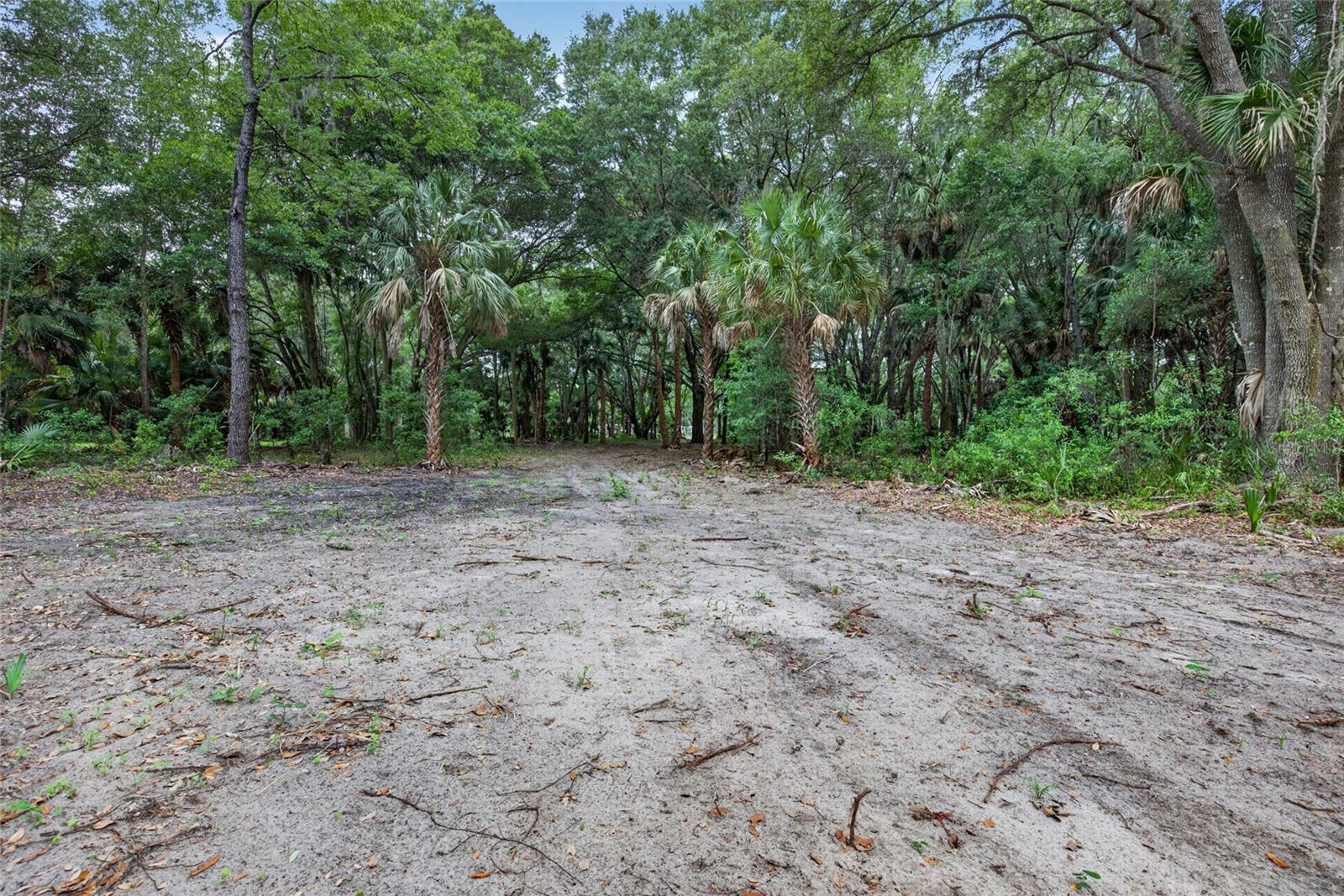 0 N US HWY 301, CITRA, FL, 32113