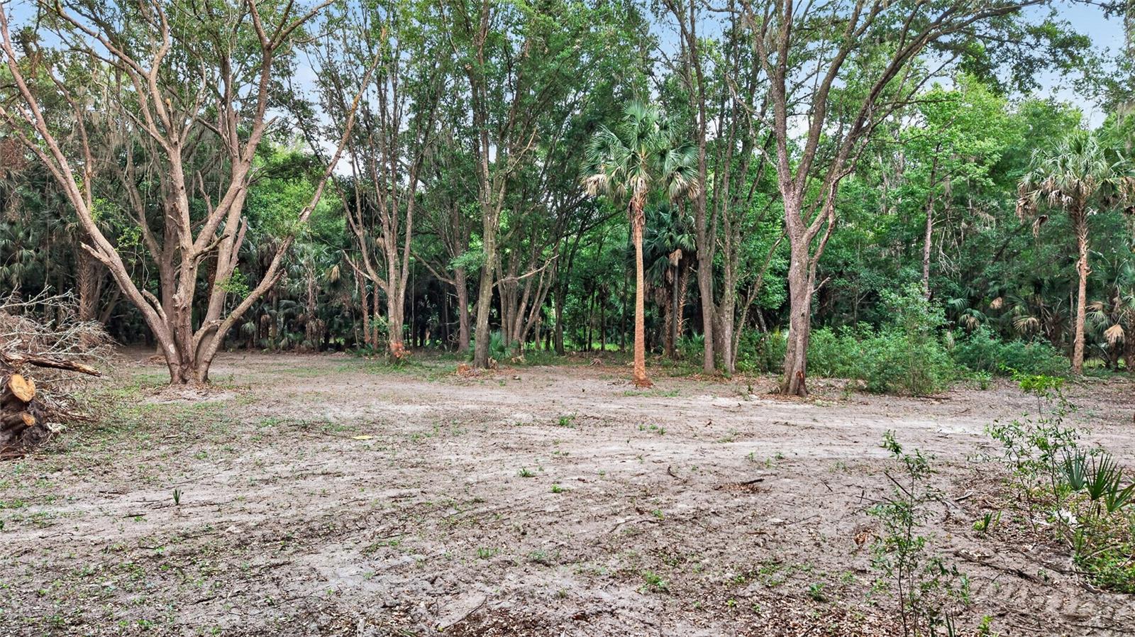 0 N US HWY 301, CITRA, FL, 32113
