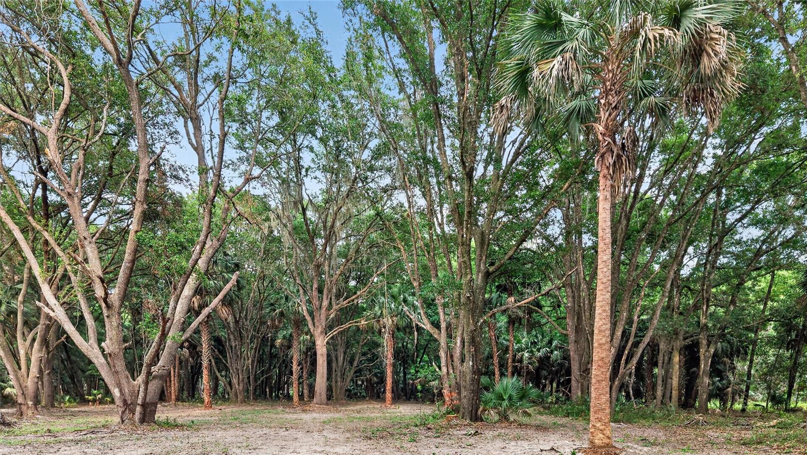 0 N US HWY 301, CITRA, FL, 32113
