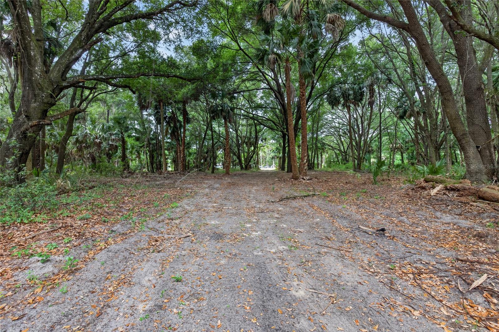 0 N US HWY 301, CITRA, FL, 32113