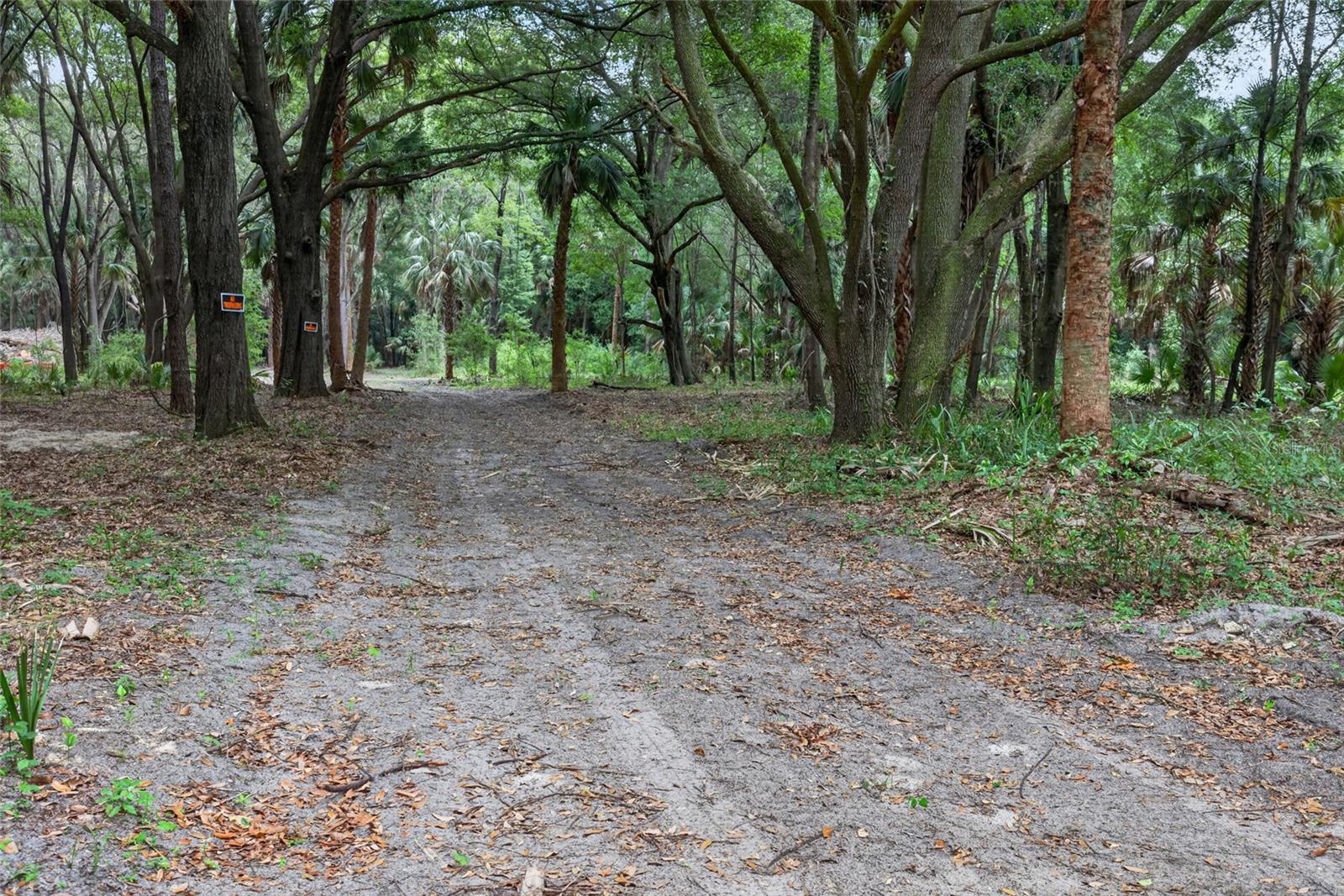 0 N US HWY 301, CITRA, FL, 32113