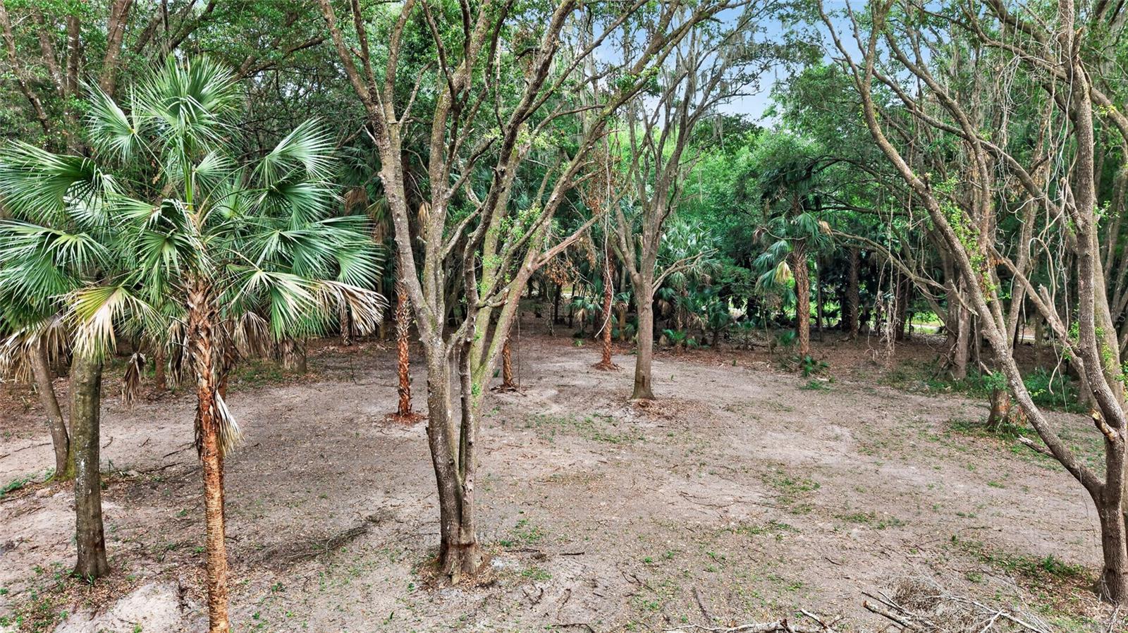 0 N US HWY 301, CITRA, FL, 32113