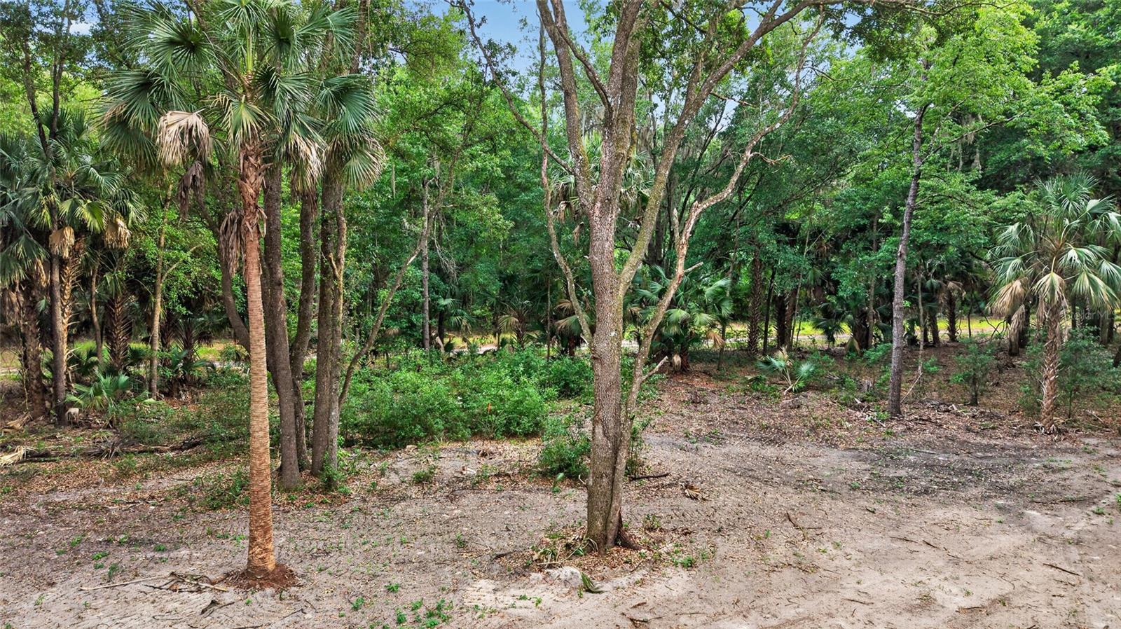 0 N US HWY 301, CITRA, FL, 32113