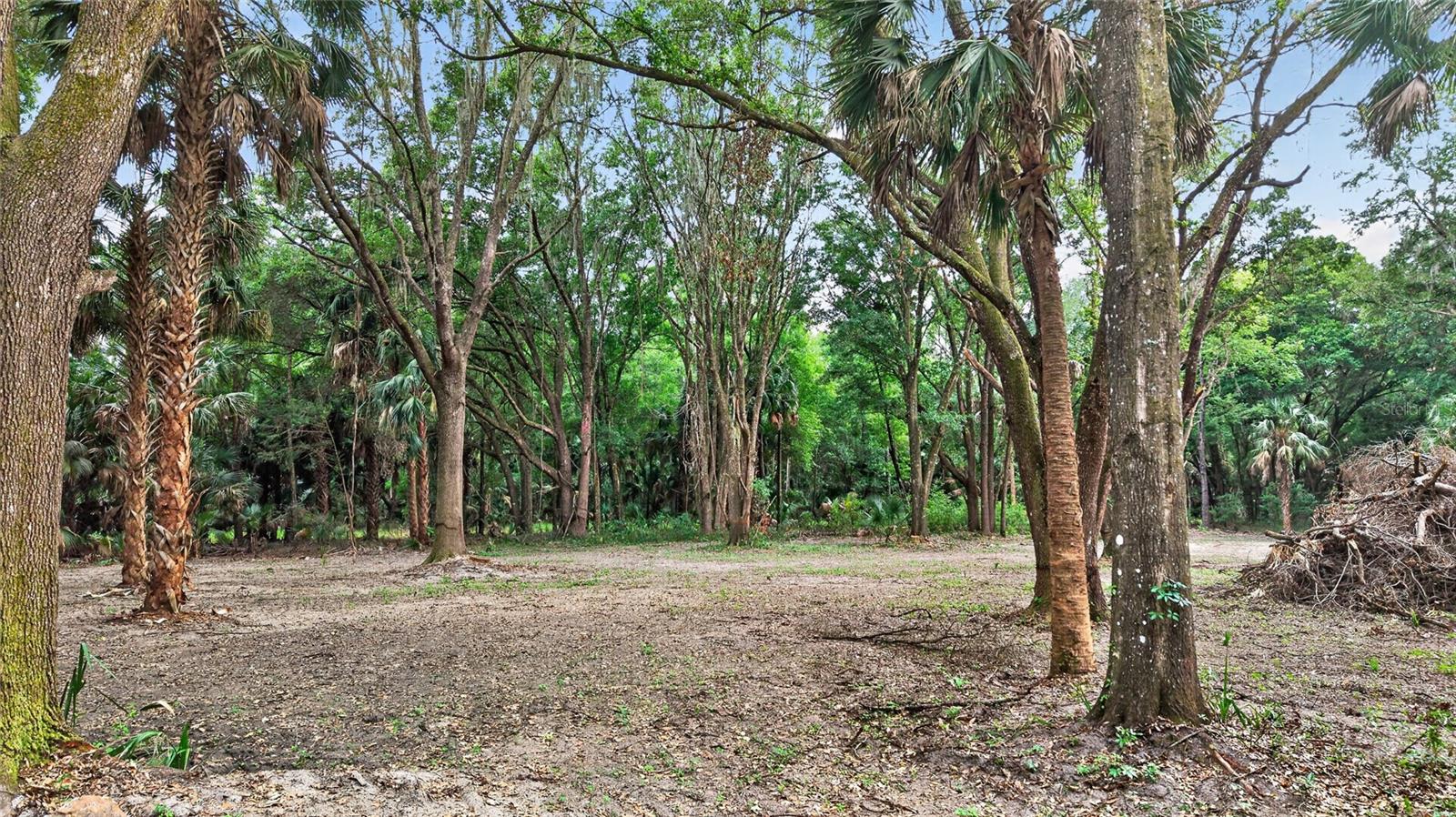0 N US HWY 301, CITRA, FL, 32113