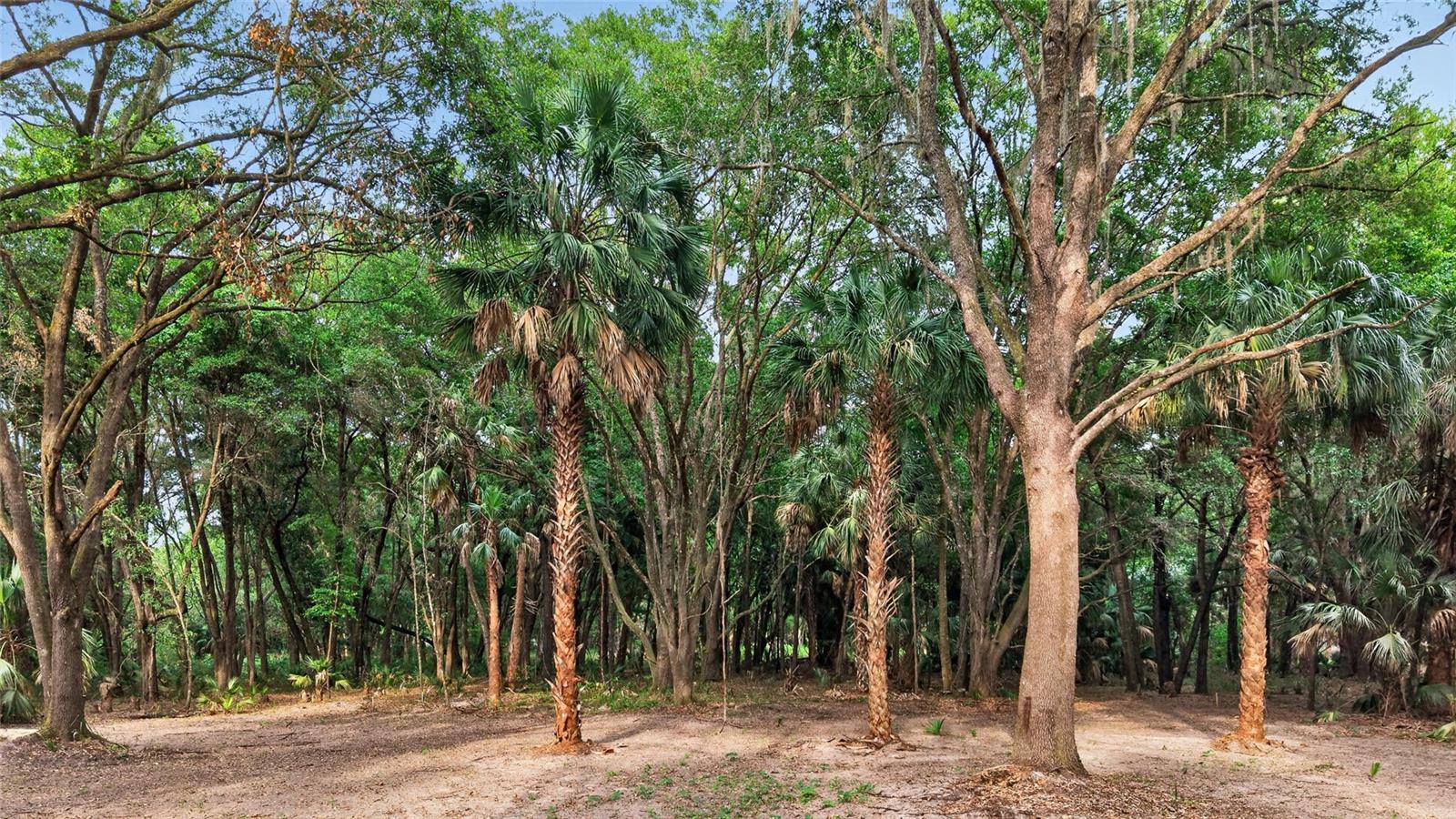 0 N US HWY 301, CITRA, FL, 32113
