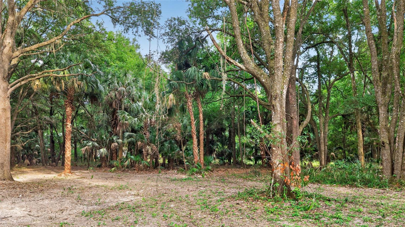 0 N US HWY 301, CITRA, FL, 32113