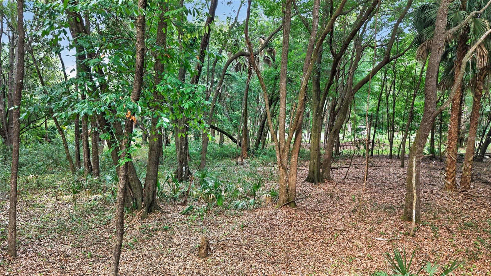 0 N US HWY 301, CITRA, FL, 32113