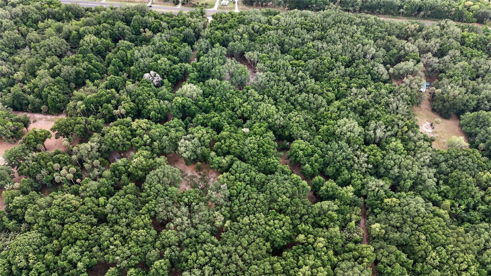 0 N US HWY 301, CITRA, FL, 32113