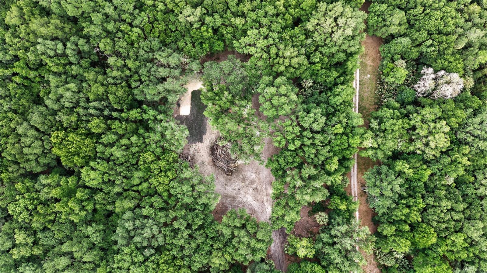0 N US HWY 301, CITRA, FL, 32113