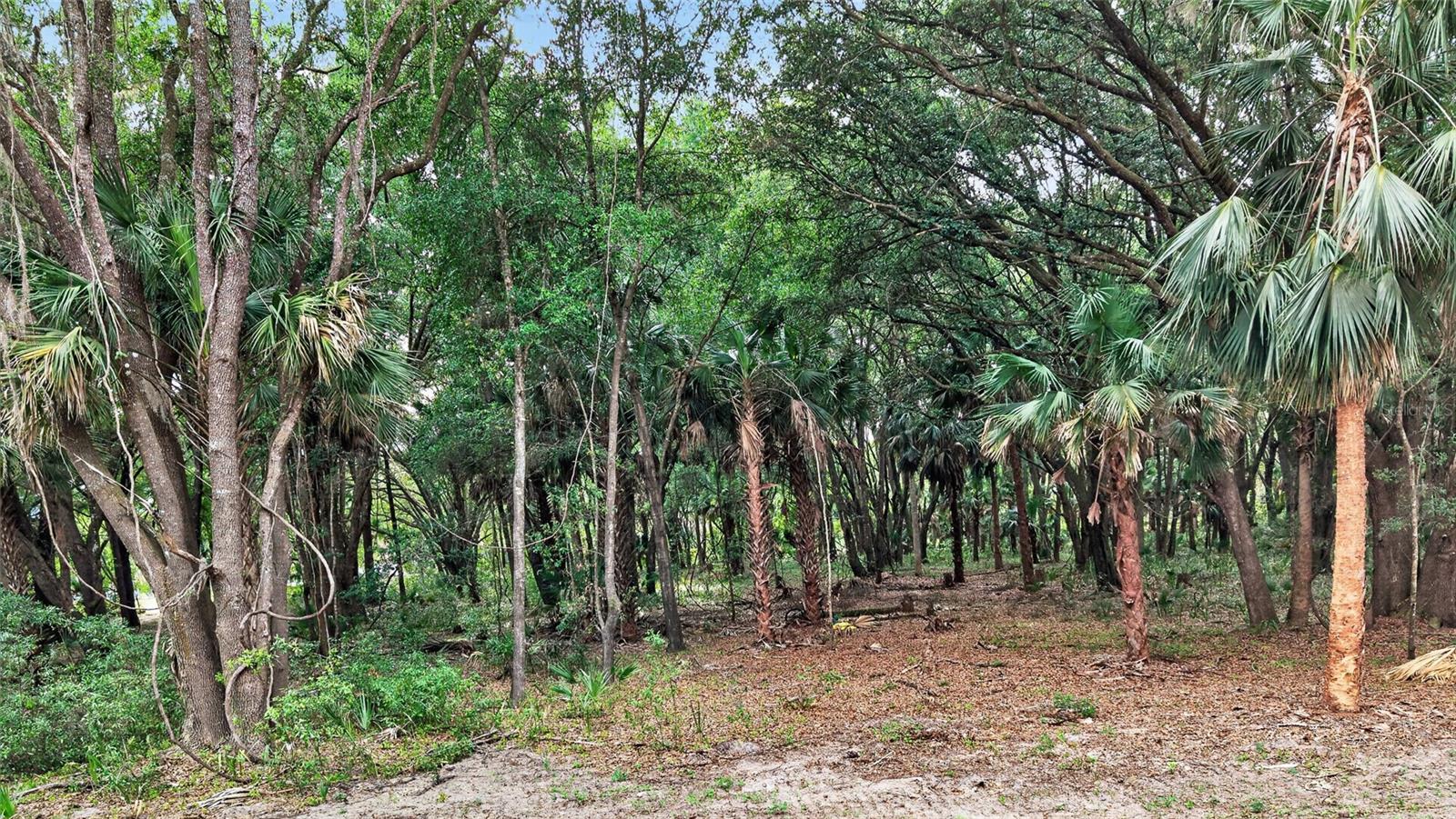 0 N US HWY 301, CITRA, FL, 32113