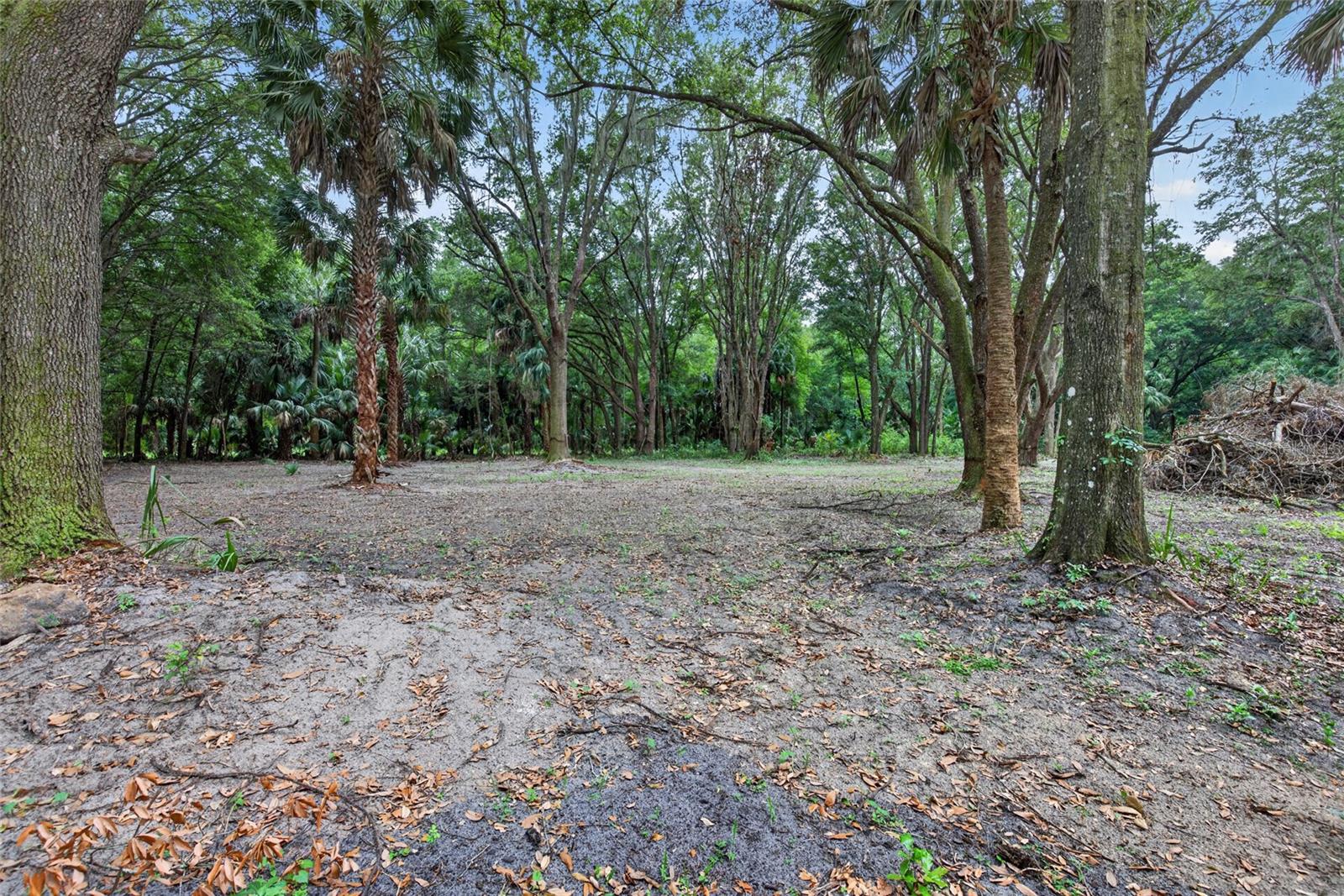 0 N US HWY 301, CITRA, FL, 32113