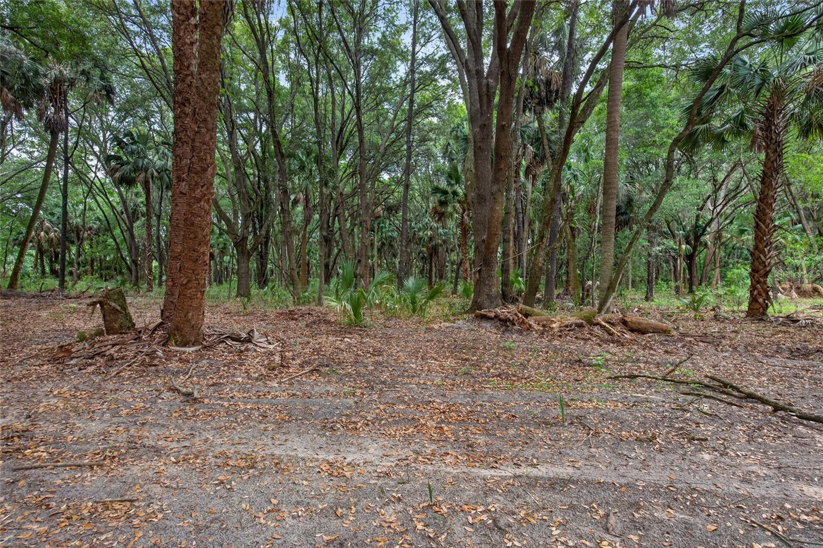 0 N US HWY 301, CITRA, FL, 32113