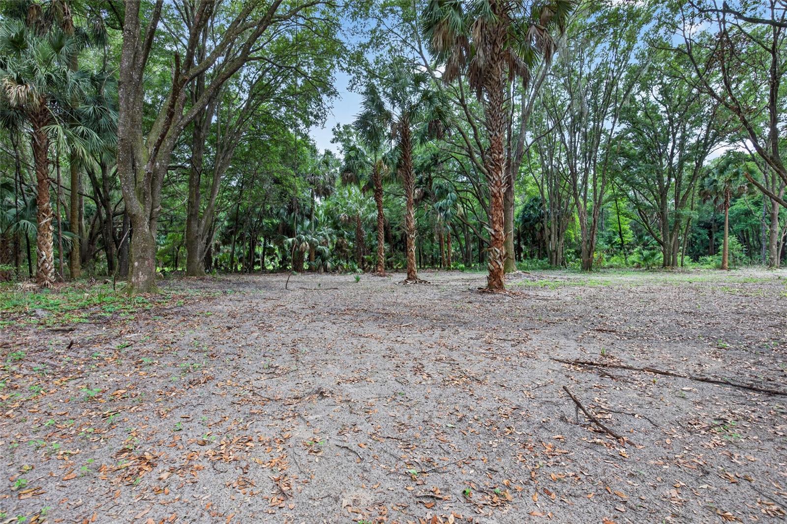 0 N US HWY 301, CITRA, FL, 32113