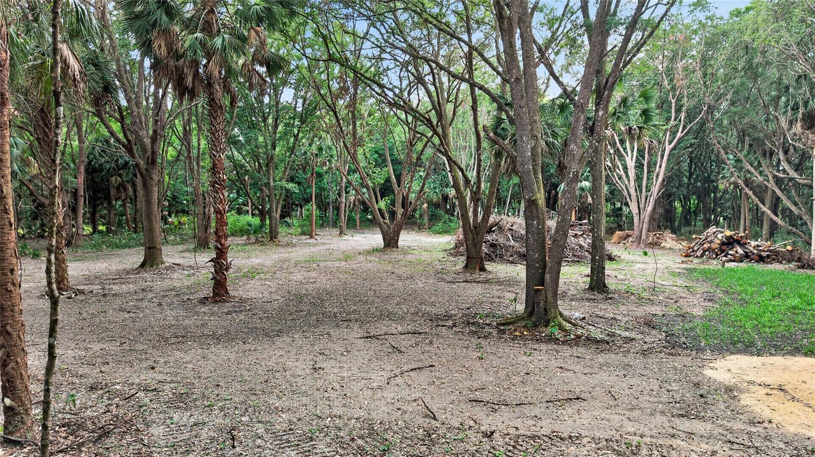 0 N US HWY 301, CITRA, FL, 32113