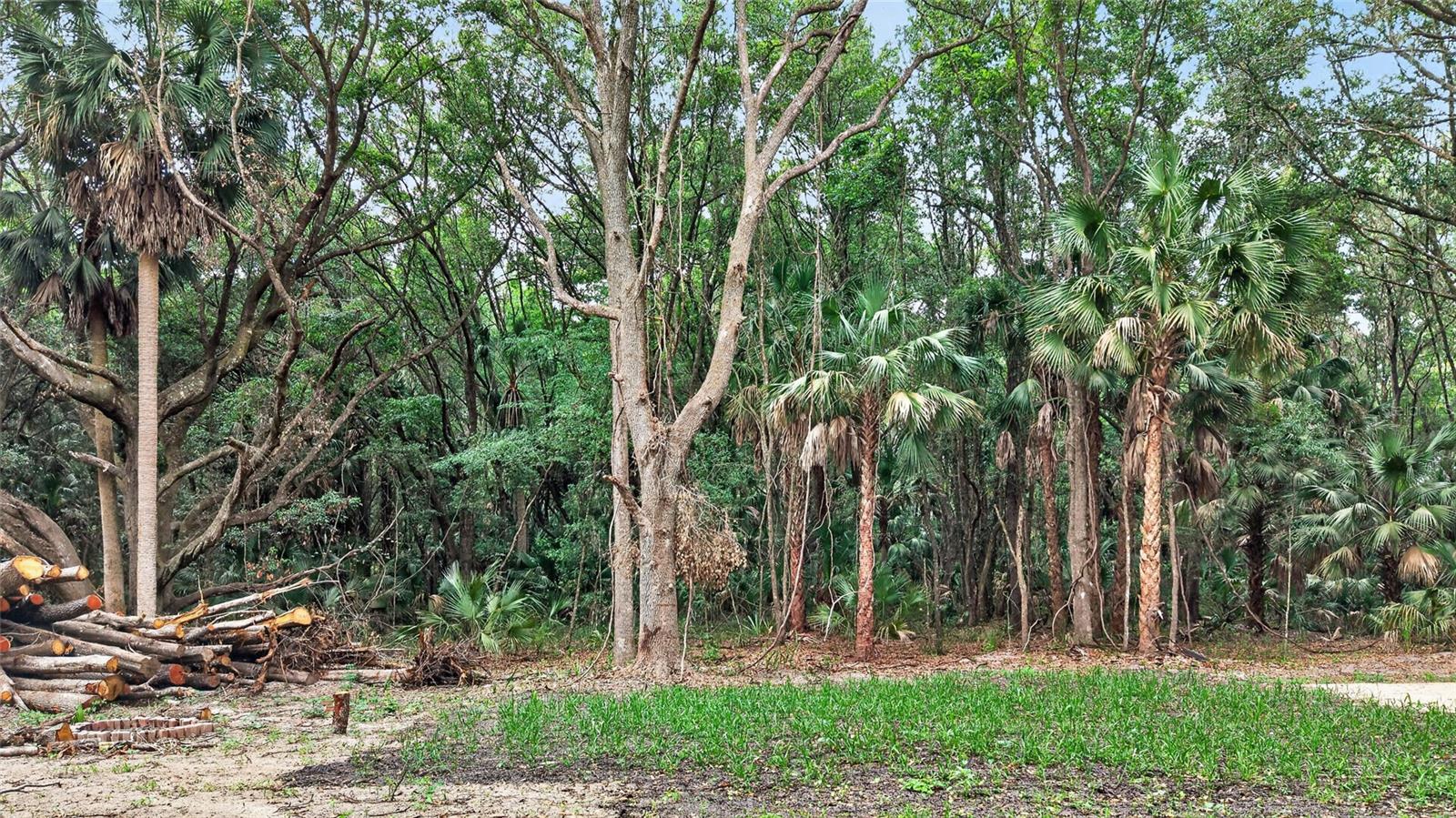 0 N US HWY 301, CITRA, FL, 32113