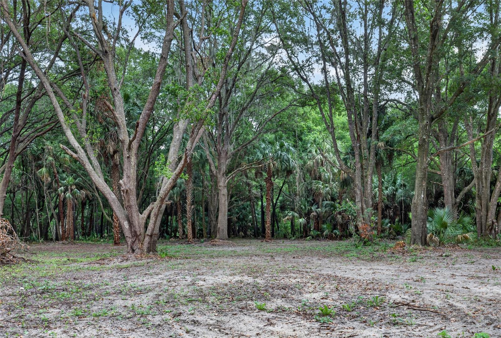 0 N US HWY 301, CITRA, FL, 32113