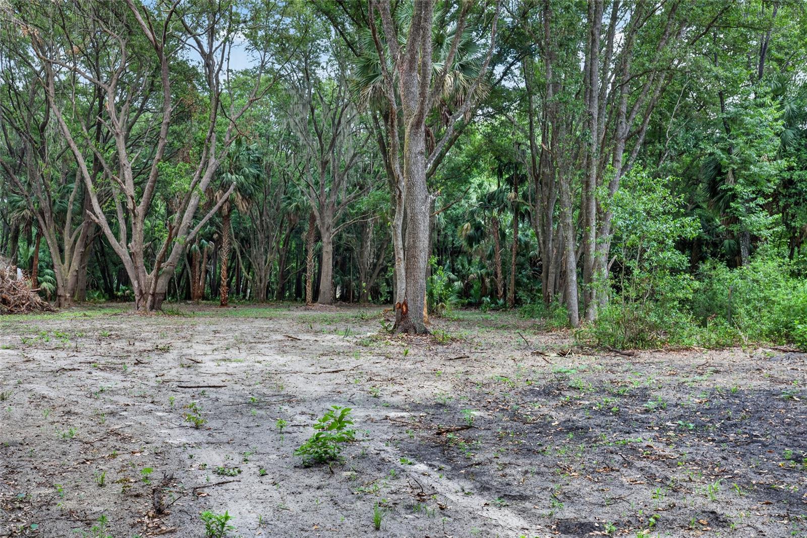 0 N US HWY 301, CITRA, FL, 32113