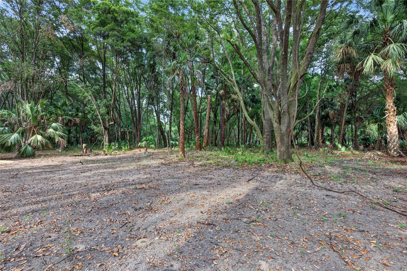 0 N US HWY 301, CITRA, FL, 32113