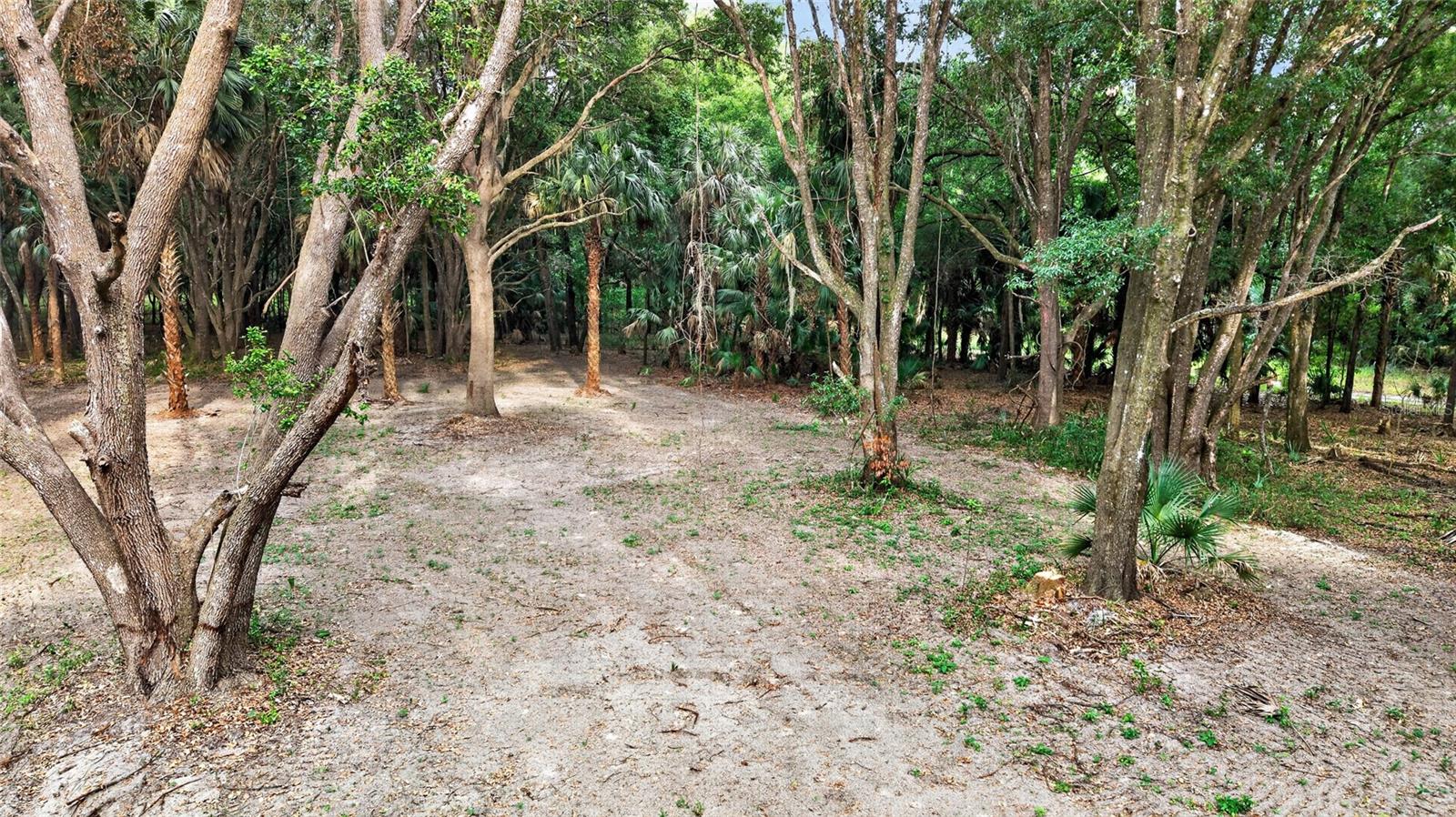 0 N US HWY 301, CITRA, FL, 32113