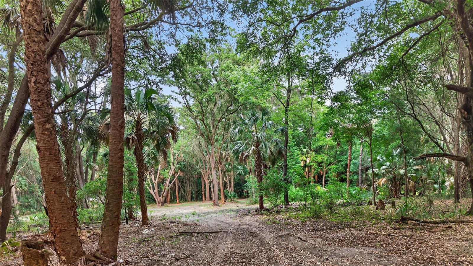 0 N US HWY 301, CITRA, FL, 32113