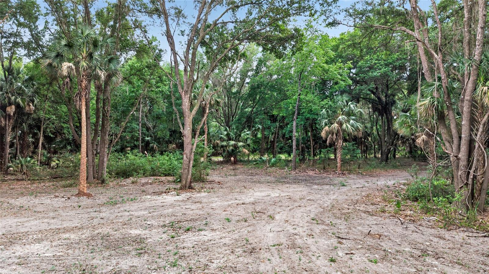 0 N US HWY 301, CITRA, FL, 32113