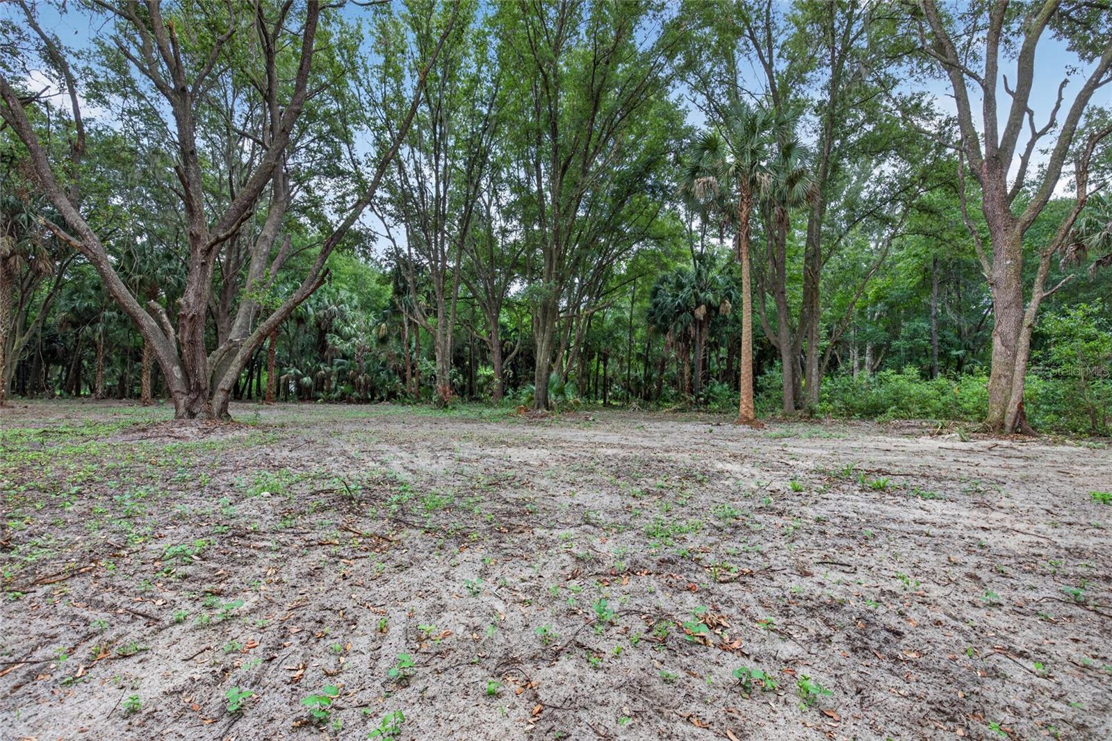 0 N US HWY 301, CITRA, FL, 32113