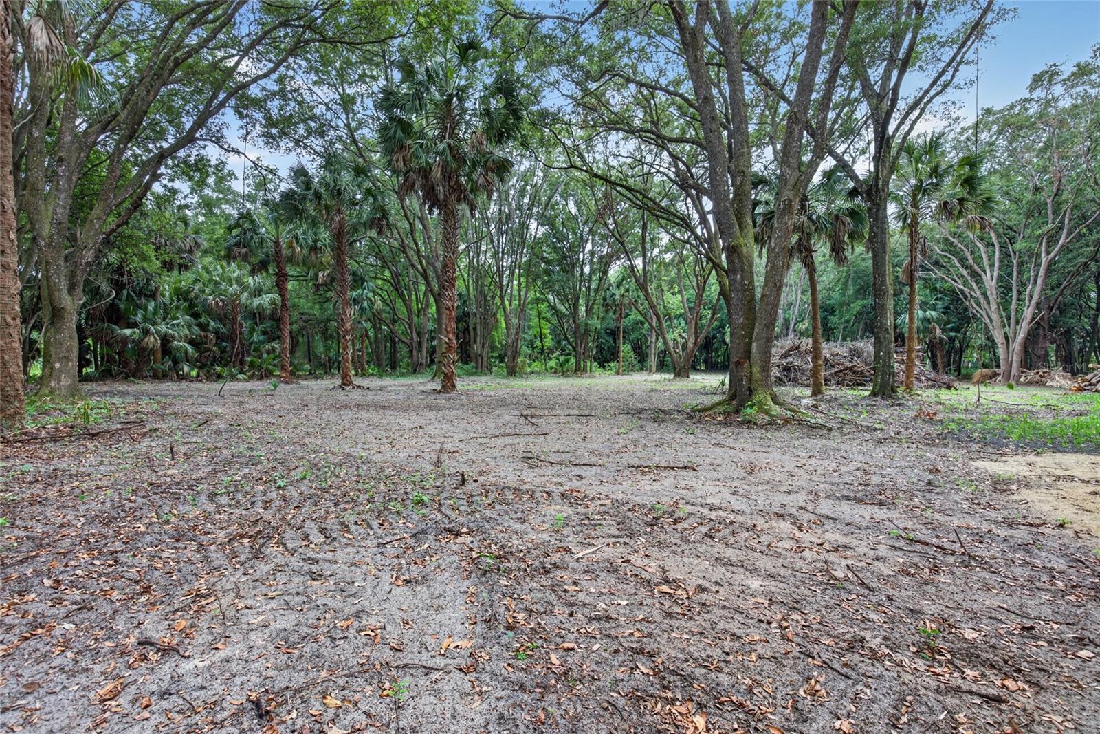 0 N US HWY 301, CITRA, FL, 32113
