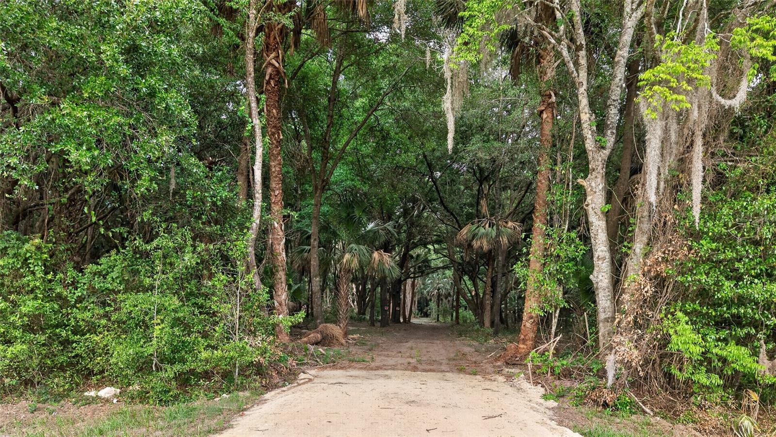 0 N US HWY 301, CITRA, FL, 32113