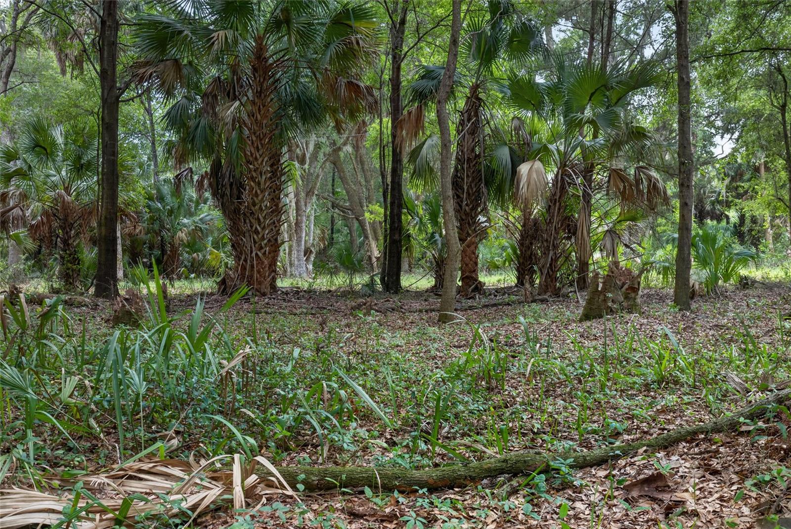 0 N US HWY 301, CITRA, FL, 32113