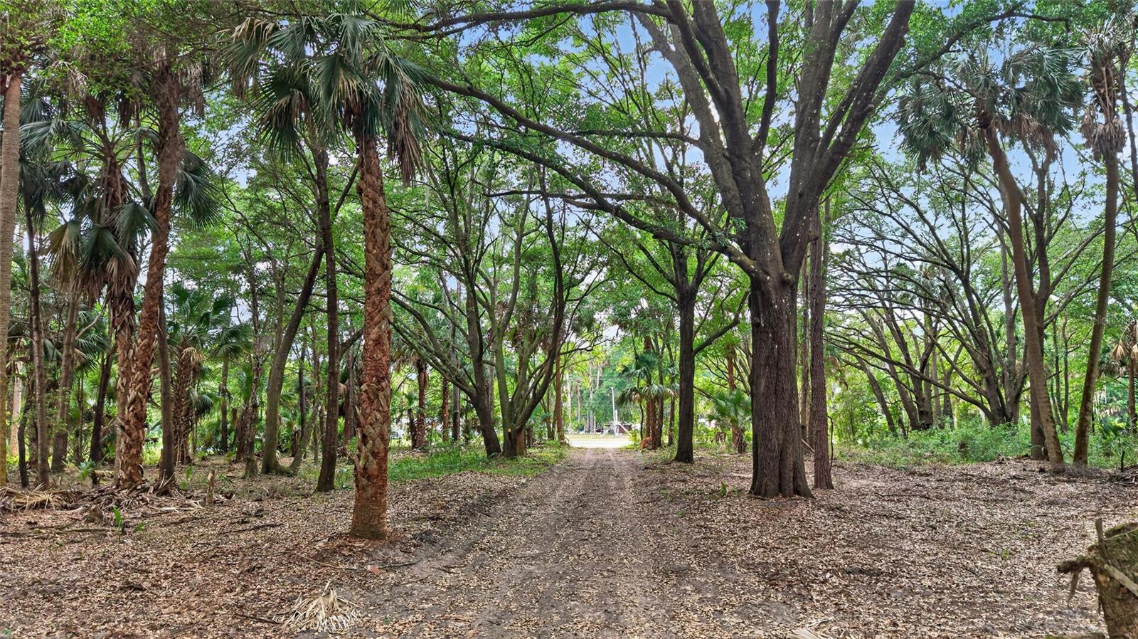 0 N US HWY 301, CITRA, FL, 32113