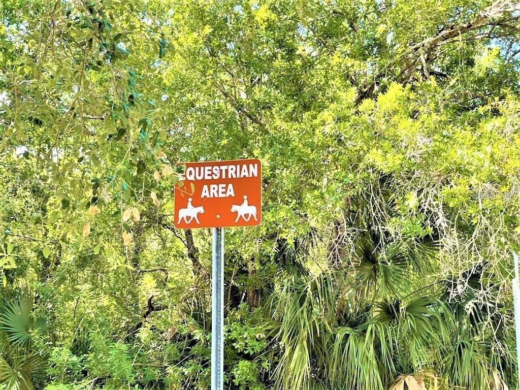 5641 94TH TER N, PINELLAS PARK, FL, 33782