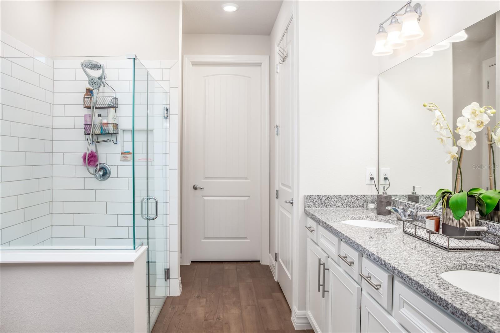 13877 CARLOW PARK DR, RIVERVIEW, FL, 33579