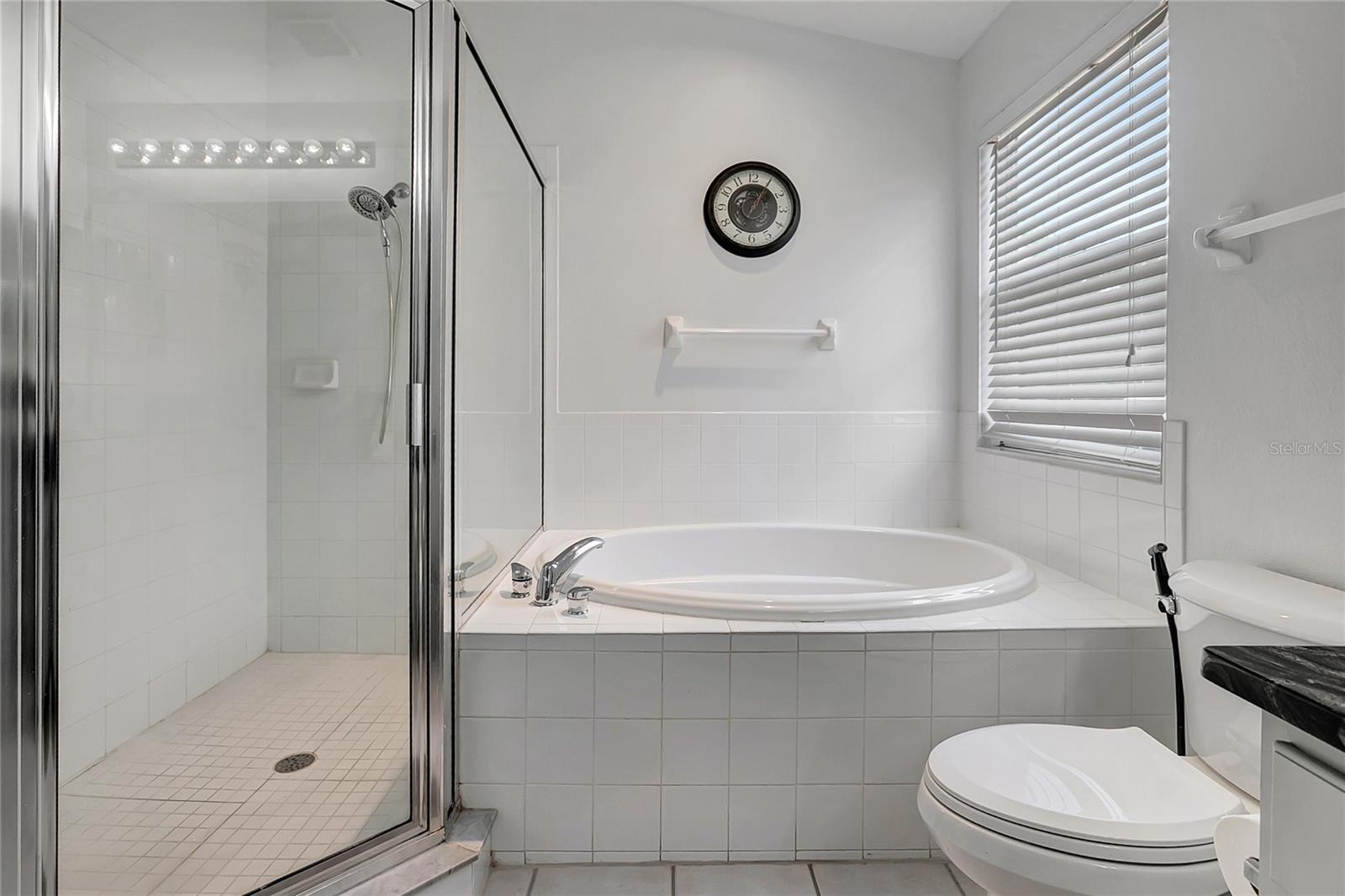 18147 CANAL POINTE ST, TAMPA, FL, 33647