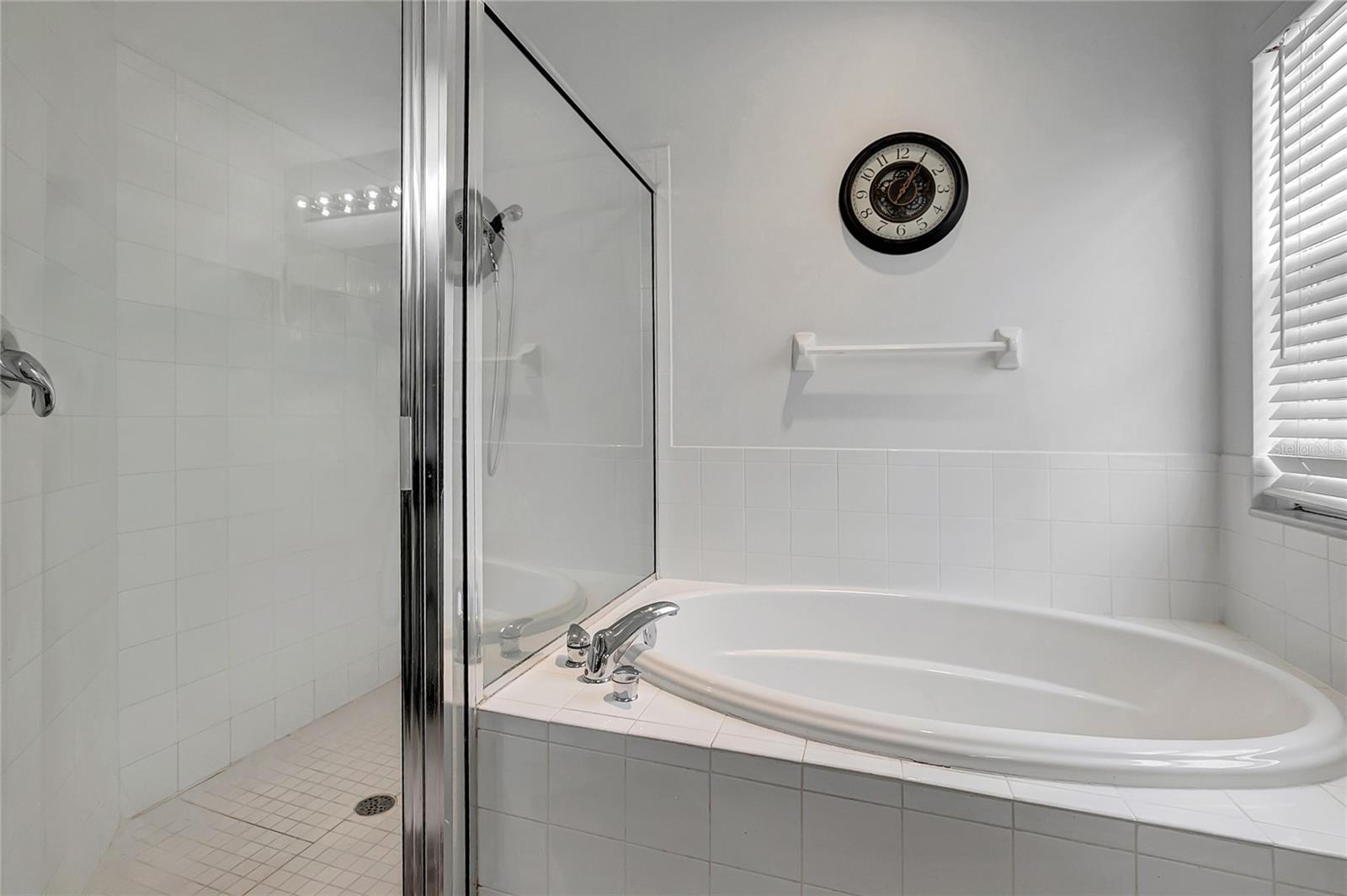 18147 CANAL POINTE ST, TAMPA, FL, 33647