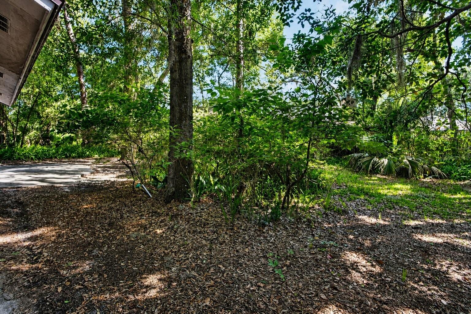 28 RAMBLEWOOD TRL, DELAND, FL, 32724