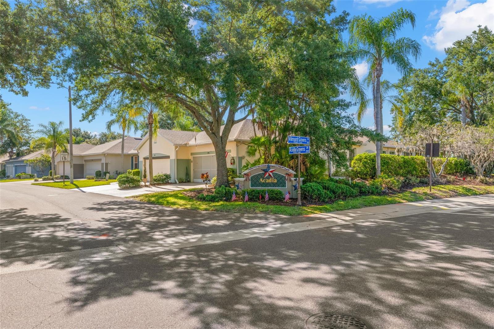2129 ACADIA GREENS DR, SUN CITY CENTER, FL, 33573